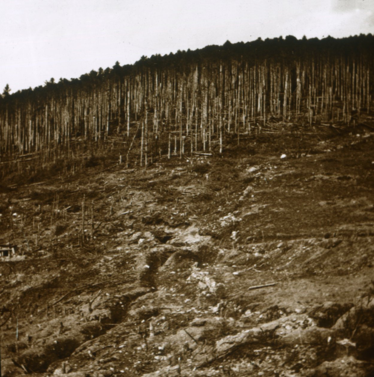 Elsass, um 1914-1918 von Unbekannt