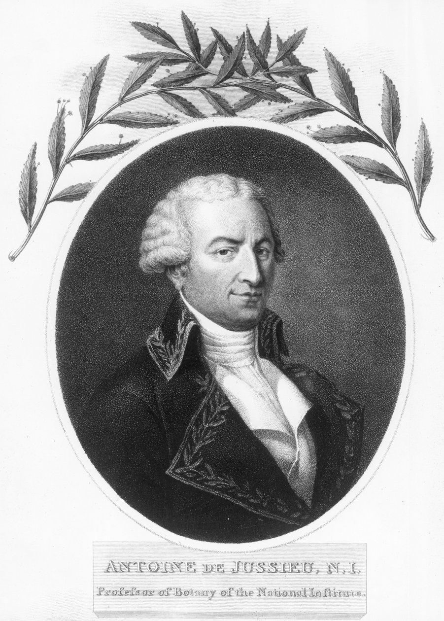 Antoine de Jussieu, französischer Botaniker des 18. Jahrhunderts, 1807 von Unbekannt