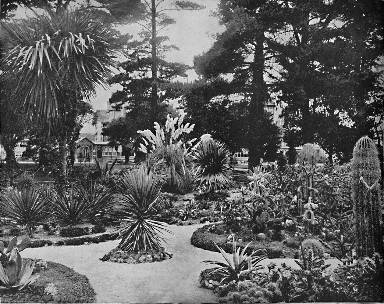 Arizona Garten. Monterey, Kalifornien, ca. 1897 von Unbekannt