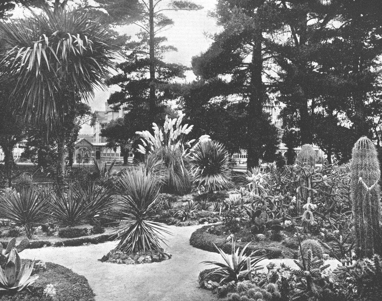 Arizona-Garten, Monterey, Kalifornien, USA von Unbekannt