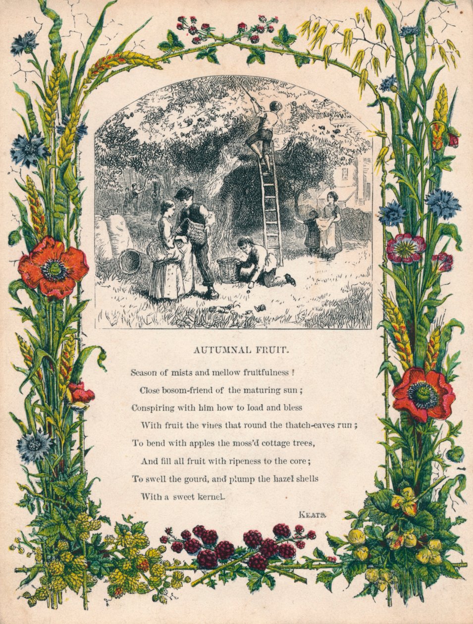 Herbstliche Früchte von Keats, ca. 1900 von Unbekannt