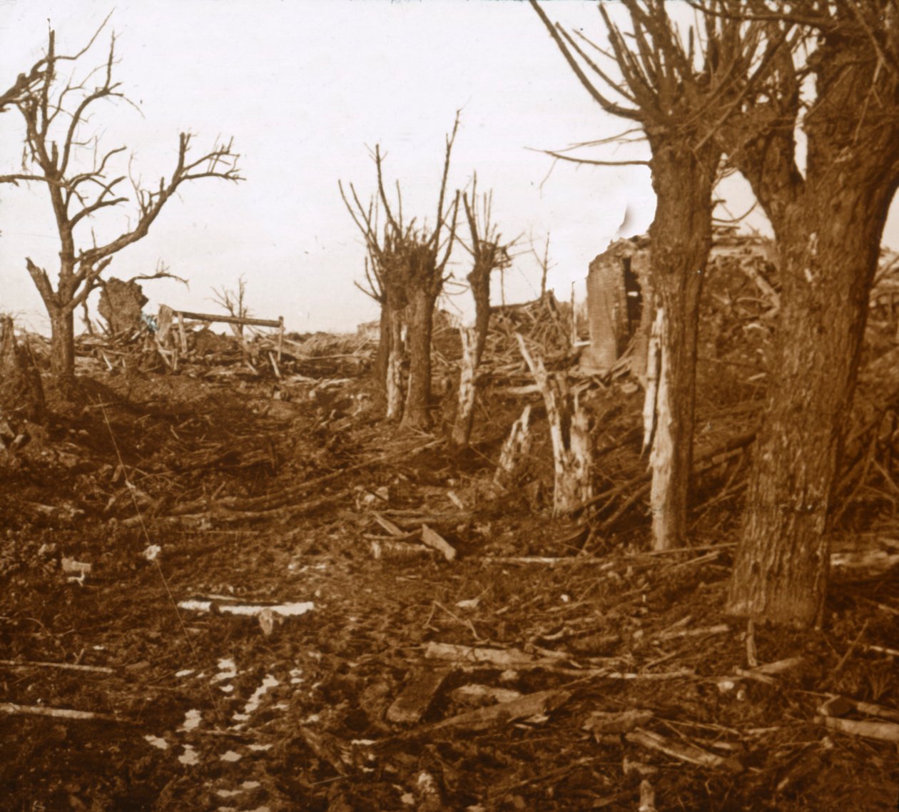 Zerstörte Landschaft, Belloy-en-Santerre, Nordfrankreich, ca. 1914-ca. 1918 von Unbekannt