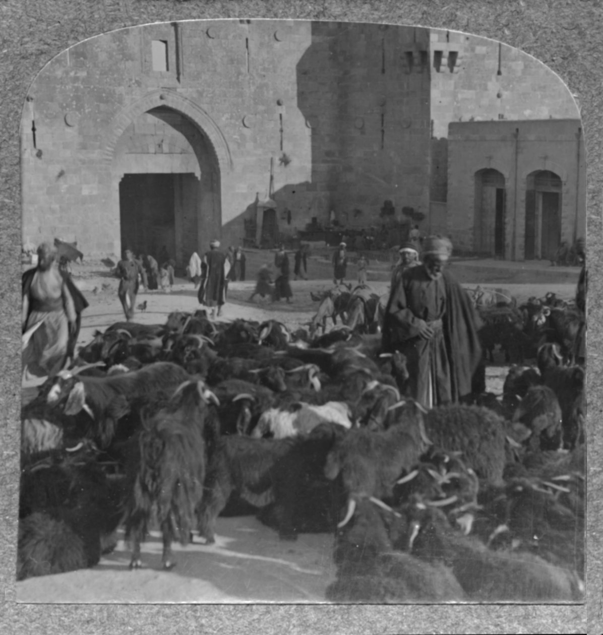 Ziegenkauf am Damaskustor, Jerusalem, ca. 1900 von Unbekannt