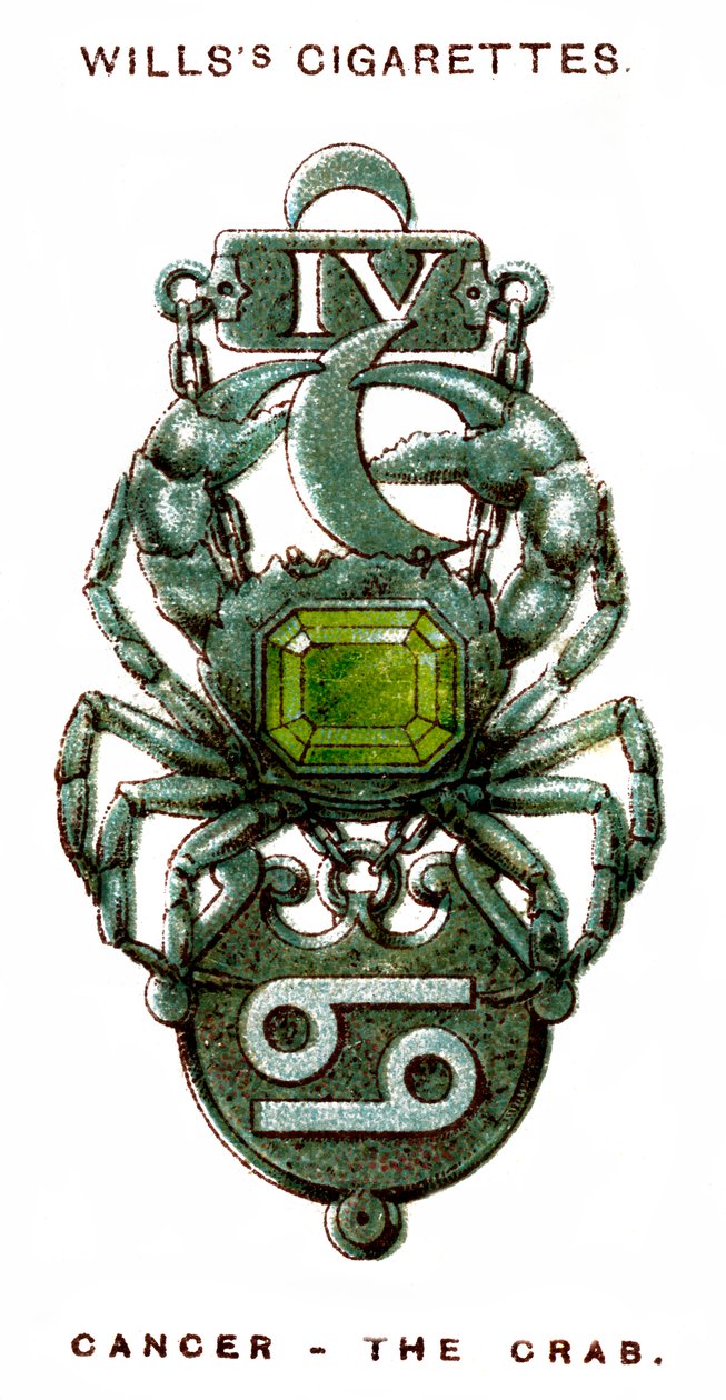 Krebs, die Krabbe, 1923 von Unbekannt