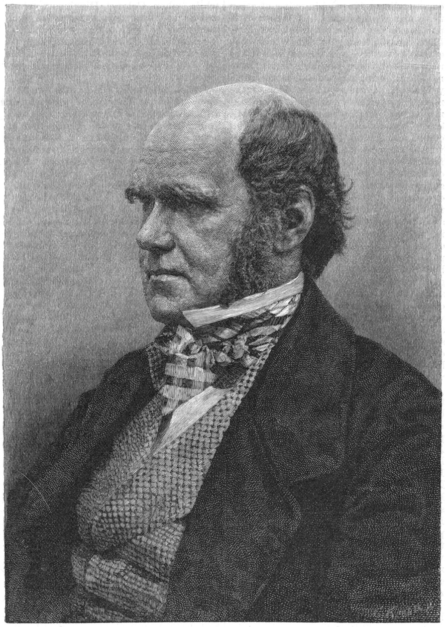 Charles Darwin, englischer Naturforscher, 1884 von Unbekannt
