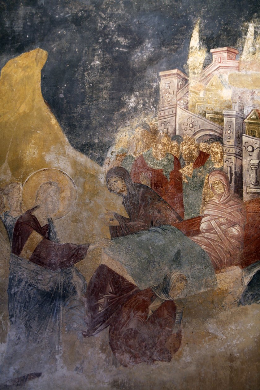 Chora-Kirche Museum, Istanbul, Türkei von Unbekannt