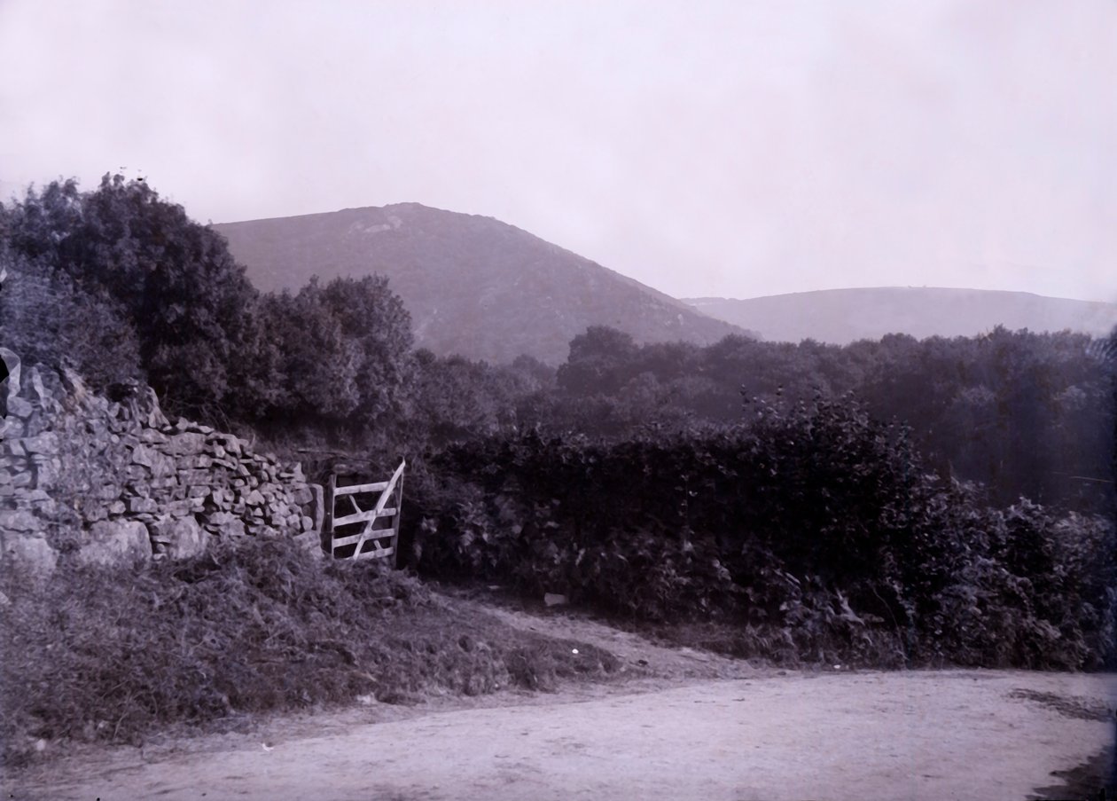 Landschaft in der Nähe von Plymouth in Devon von Unbekannt
