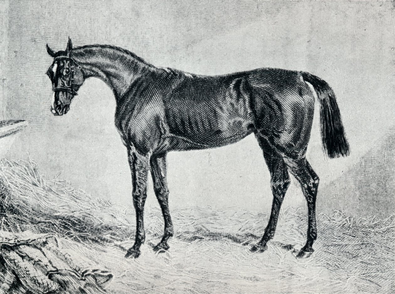 Cyprian, 19. Jahrhundert, 1911 von Unbekannt