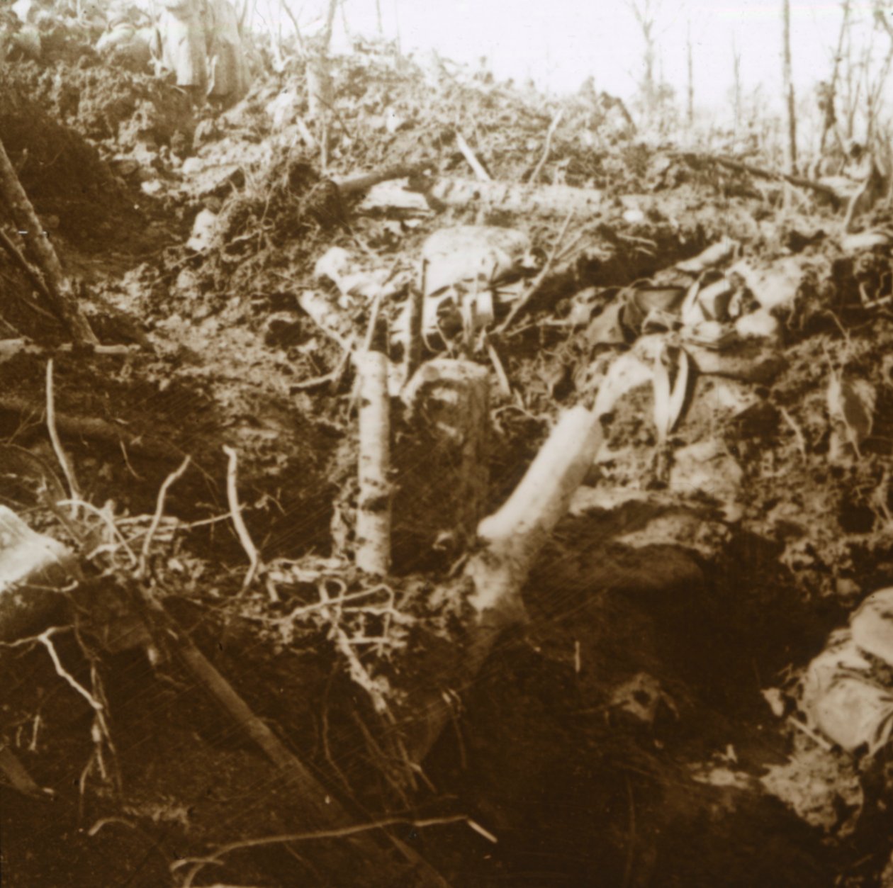 Zerstörter Unterstand, Les Éparges, Nordfrankreich, 1915 von Unbekannt