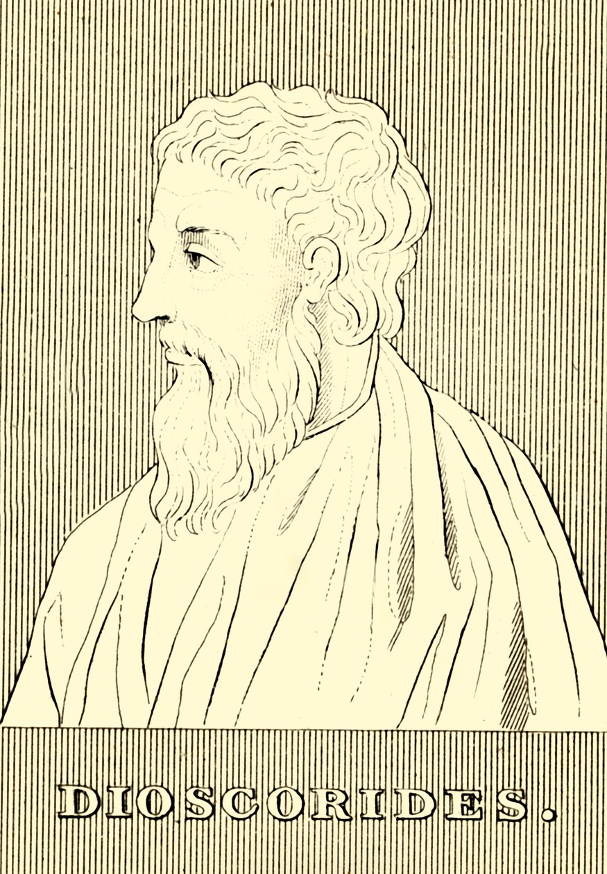 Dioskorides von Unbekannt