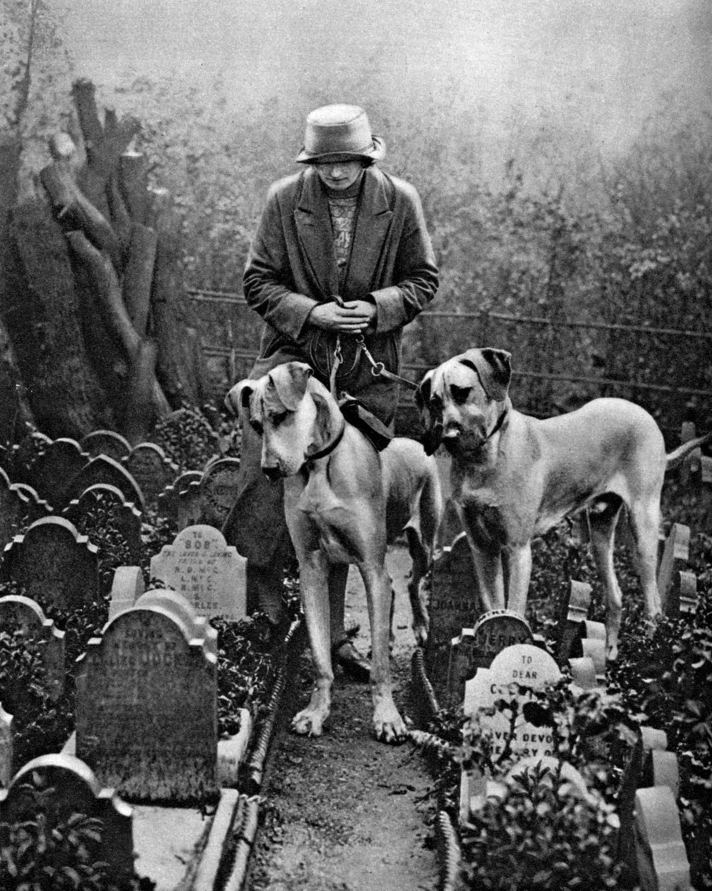 Hundefriedhof, Victoria Gate, Bayswater, London, 1926-1927 von Unbekannt