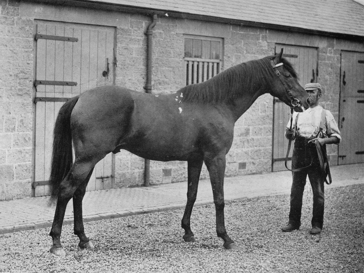 Donovan, 1886-1905, 1911 von Unbekannt
