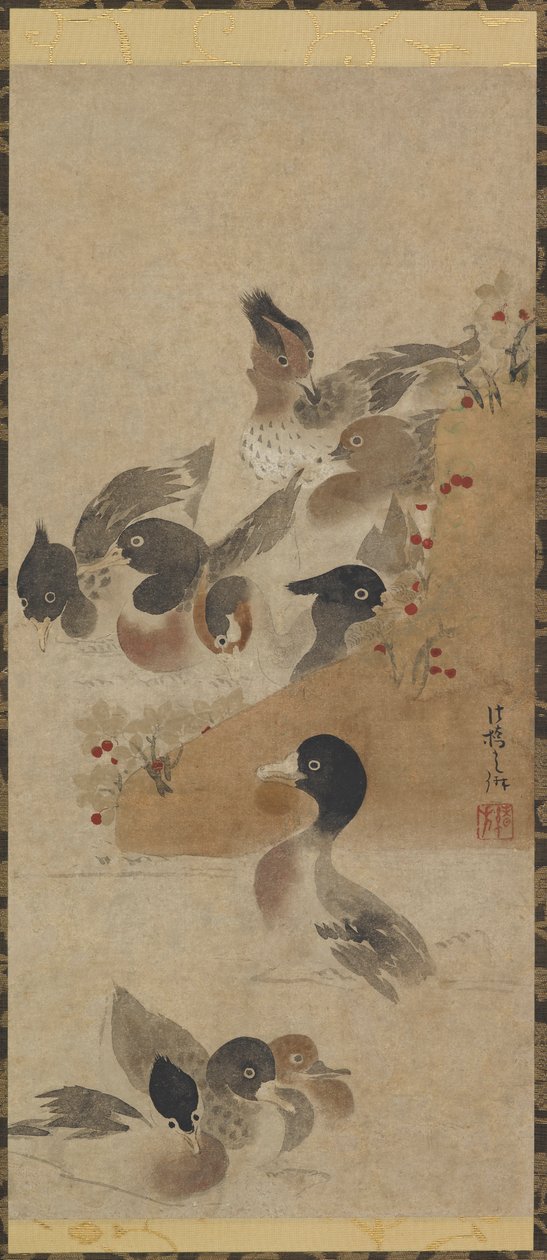 Enten von Unbekannt