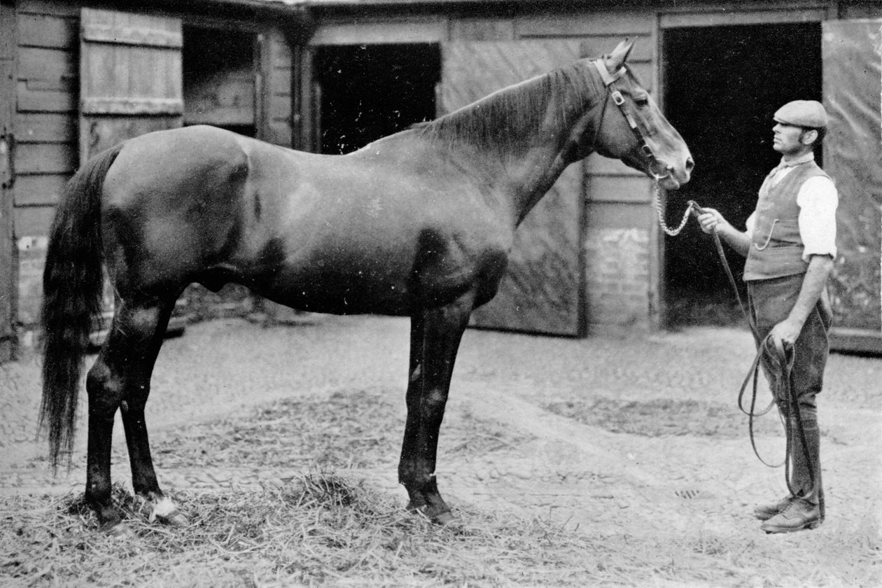 Foxhall, 1880-1904, 1911 von Unbekannt