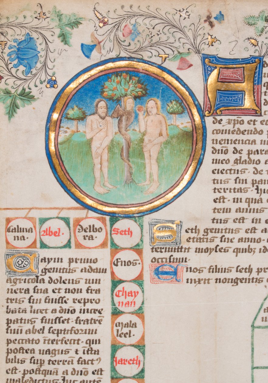 Genealogische Chronik der Könige von England, 1466-67 von Unbekannt