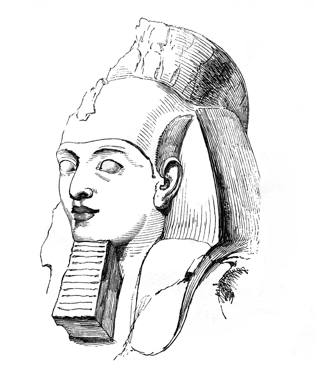 Kopf von Ramses, 1848 von Unbekannt