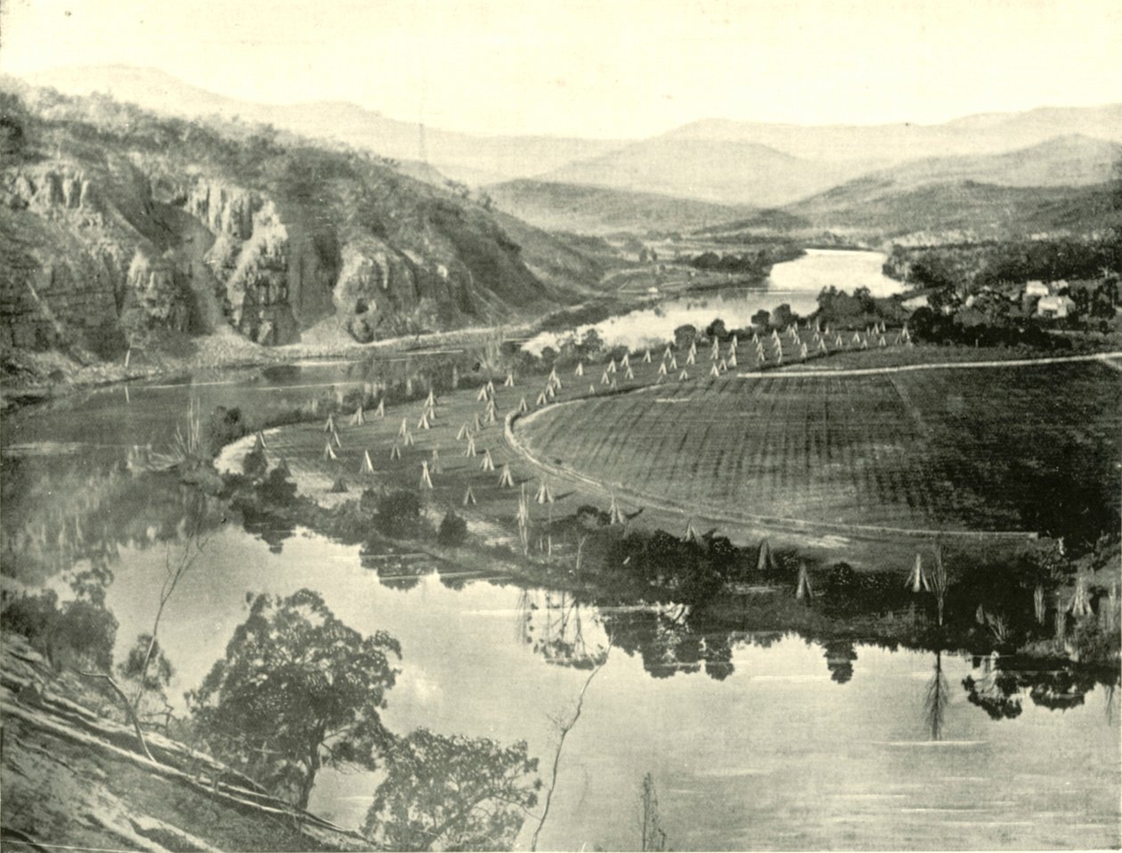 Hopfengärten in Tasmanien, 1901 von Unbekannt