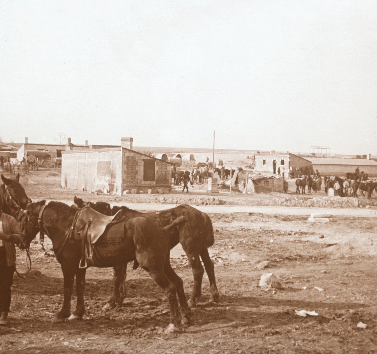 Pferde, Somme-Tourbe, Nordfrankreich, ca. 1914-ca. 1918 von Unbekannt