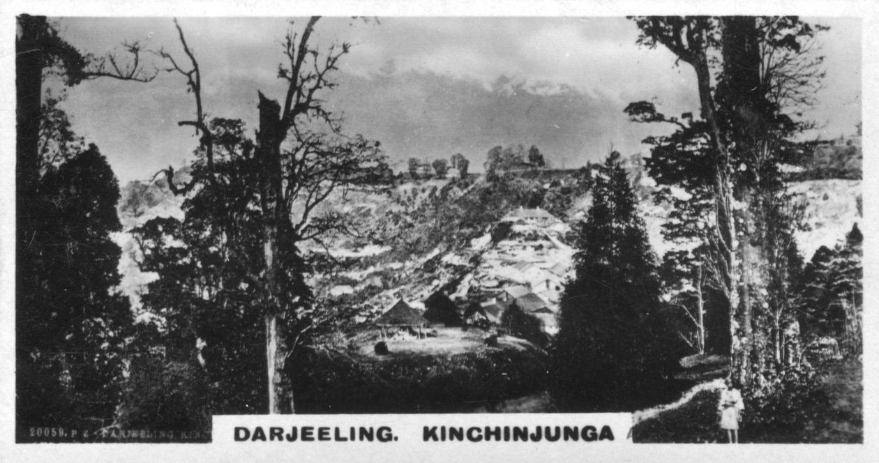 Kinchinjunga von Beechwood, Darjeeling, Indien, um 1925 von Unbekannt
