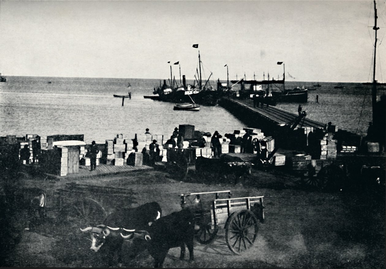 Landungsplatz, Punta Arenas, 1911 von Unbekannt