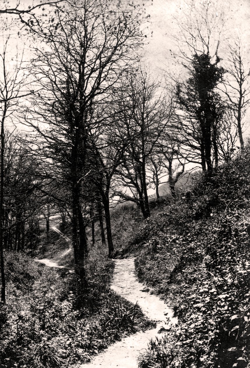 Lovers Lane, Fairlight, Hastings, Sussex von Unbekannt