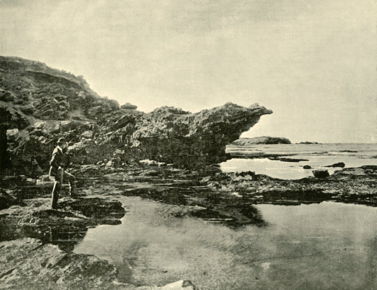 Ebbe, Shelly Beach, Warrnambool, 1901 von Unbekannt