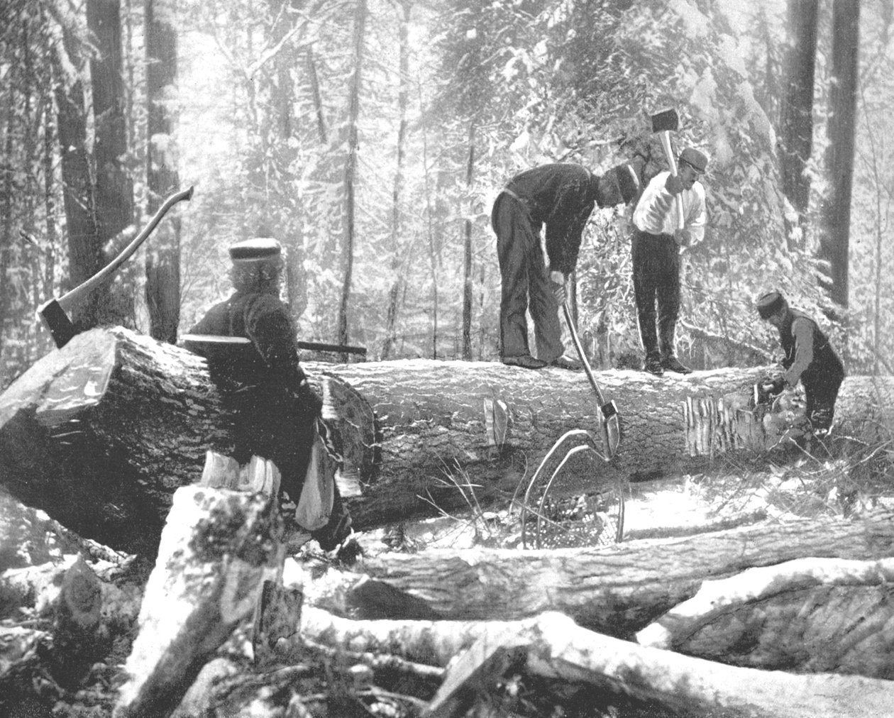 Holzfällerei am Ottawa River, Kanada, um 1900 von Unbekannt