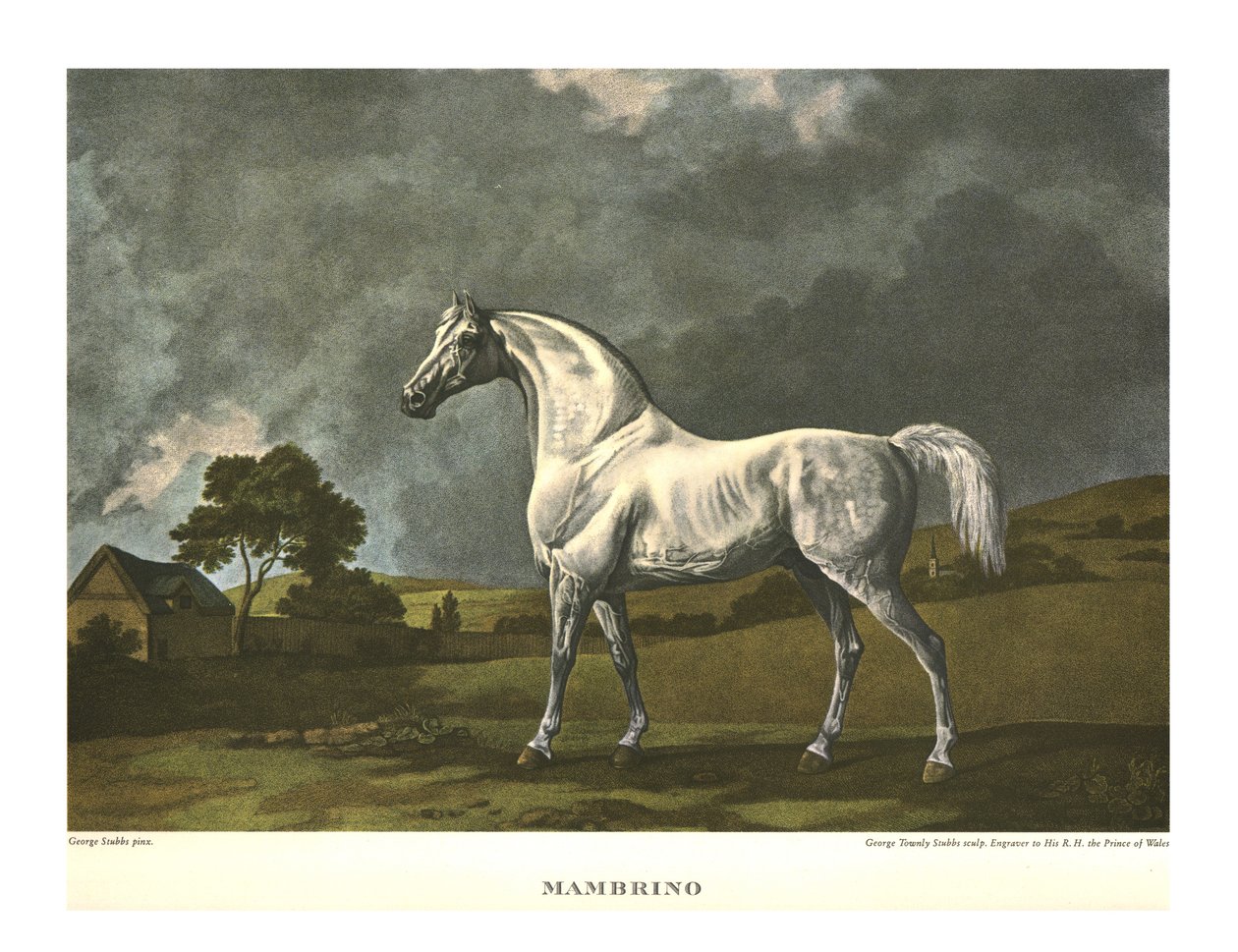 Mambrino, um 1779, um 1955 von Unbekannt