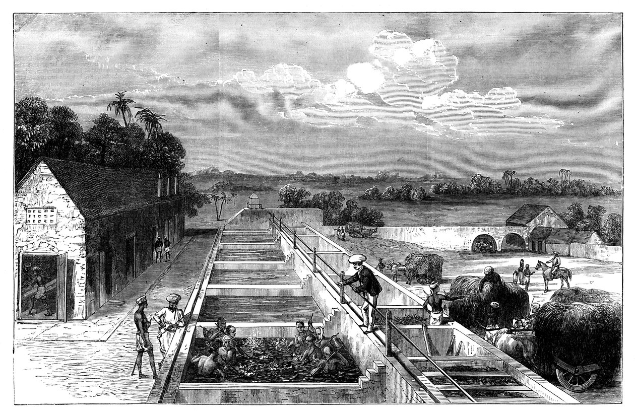 Indigoherstellung in Tirhoot Muzaffarpur, Unterbengalen, 1869 von Unbekannt