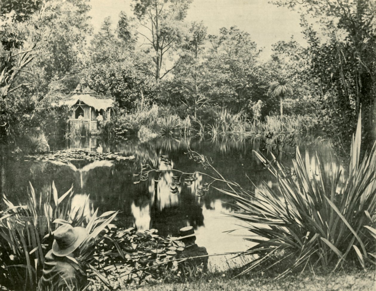 Mr. Ryans Gärten, Mount Macedon, Victoria, 1901 von Unbekannt