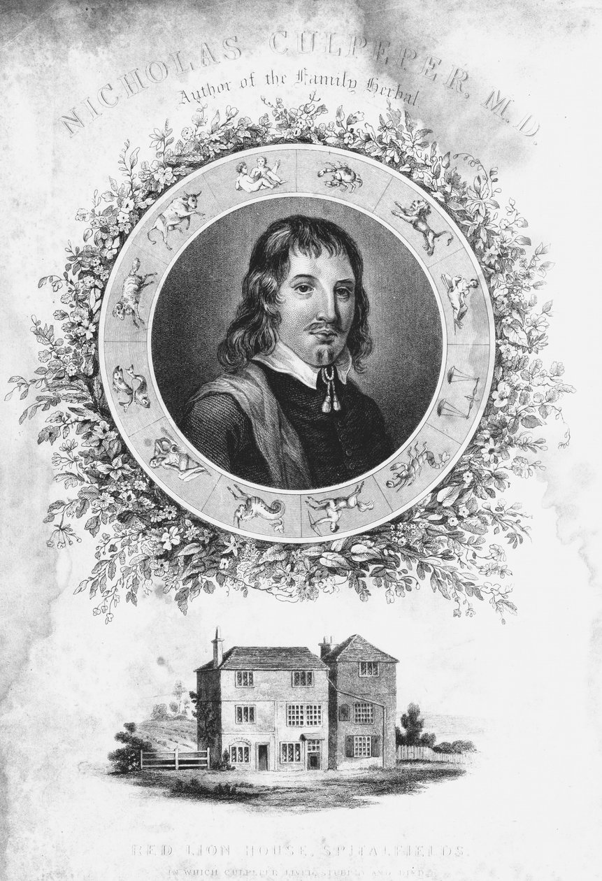Nicholas Culpepper, um 1650, 19. Jahrhundert von Unbekannt