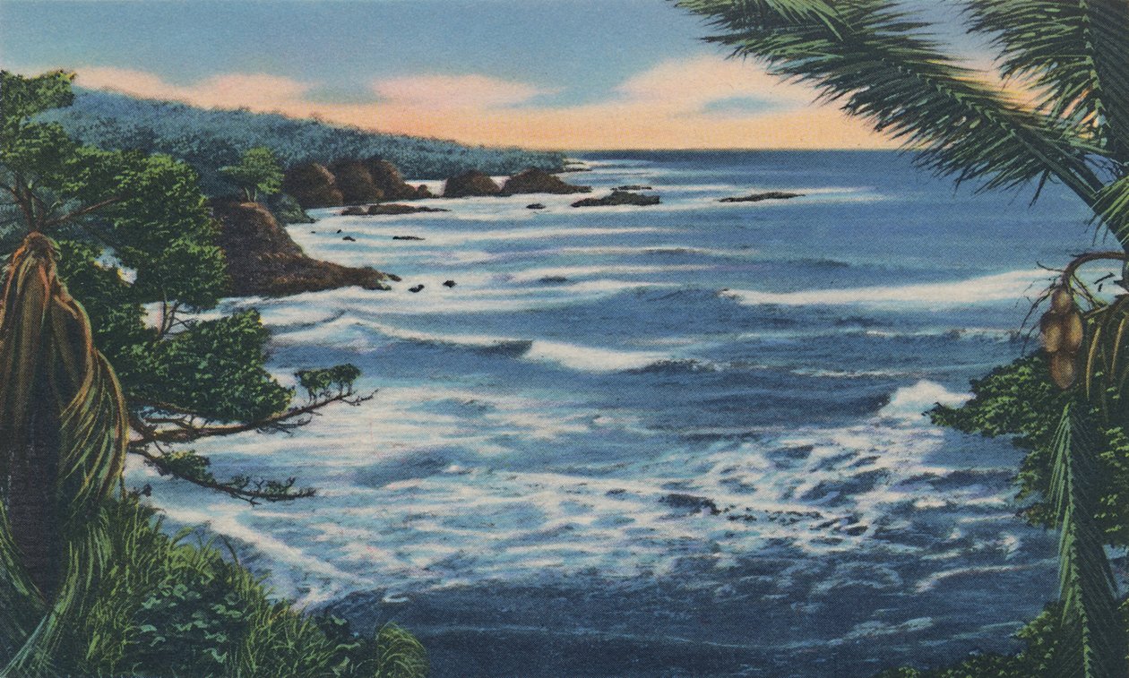 Nordküste, Trinidad, B.W.I., ca. 1940er von Unbekannt