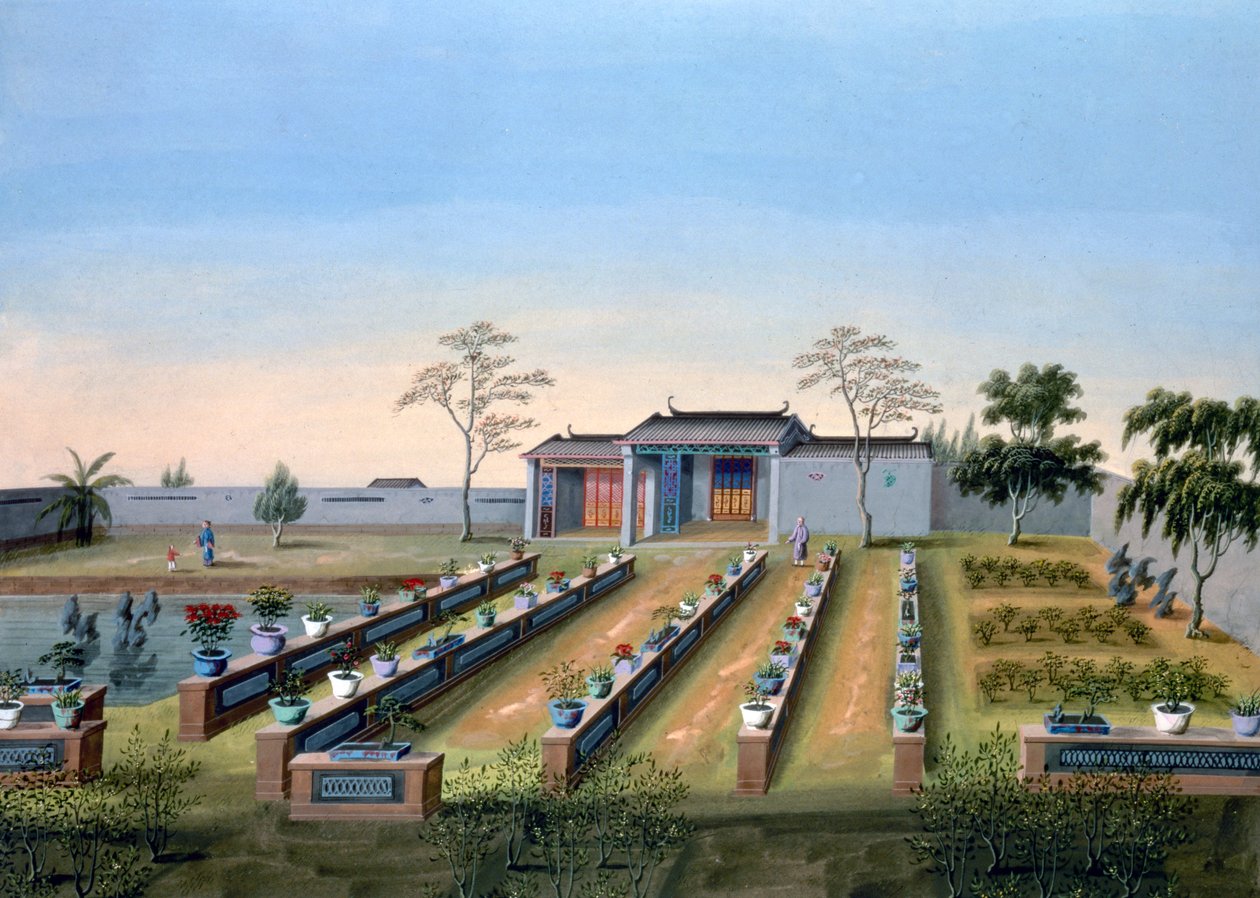 Baumschule, China, um 1820-1840 von Unbekannt