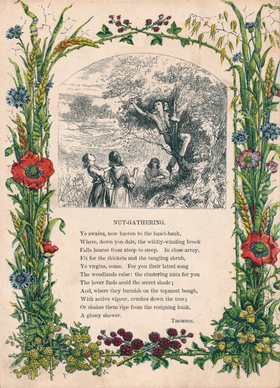 Nusssammeln, von Thomson, um 1900 von Unbekannt
