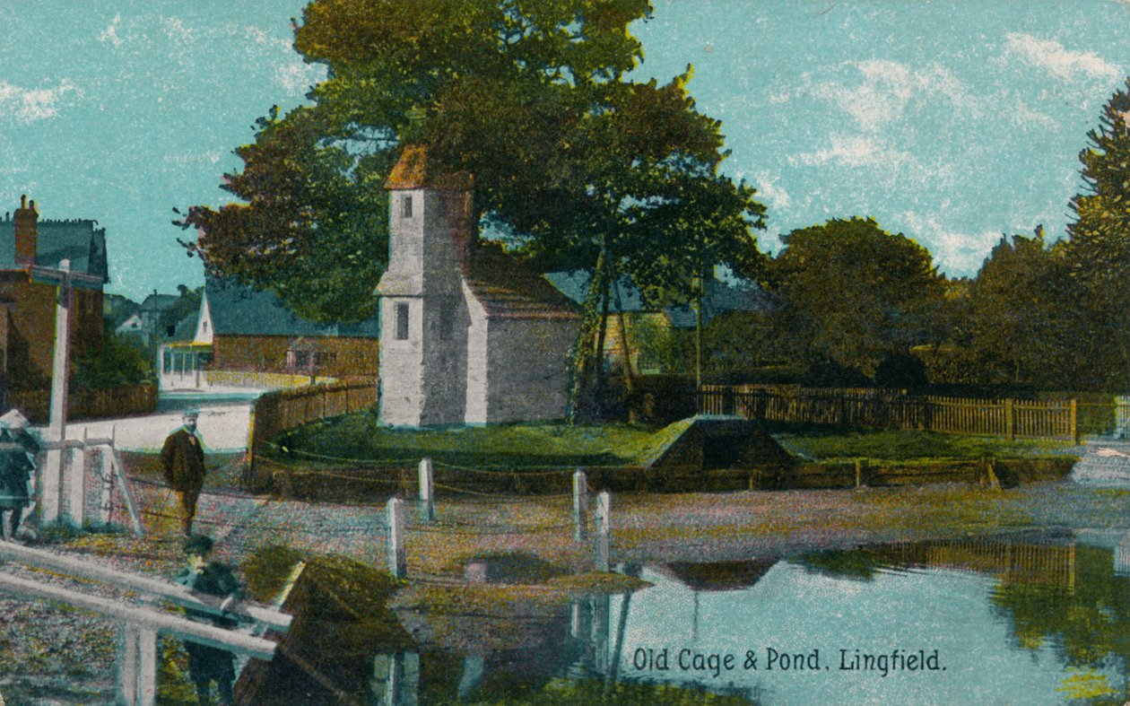 Altes Gehege und Teich, Lingfield, Surrey, ca. 1905 von Unbekannt