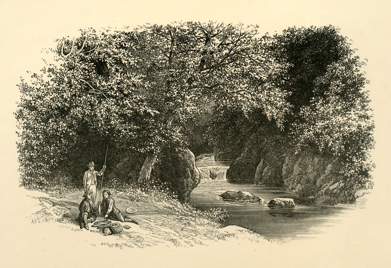 Am Dargle, ca. 1890 von Unbekannt