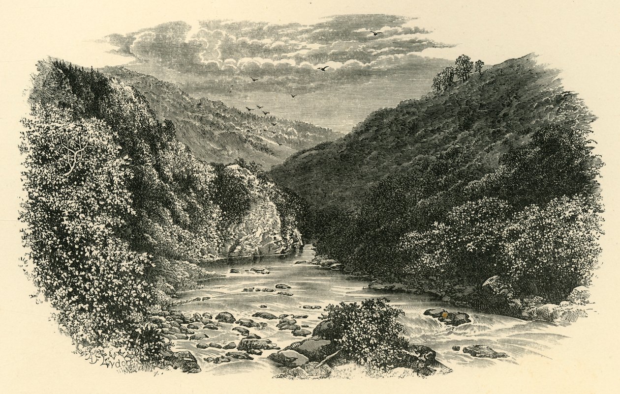 Am Dart, Lovers Leap, um 1890 von Unbekannt