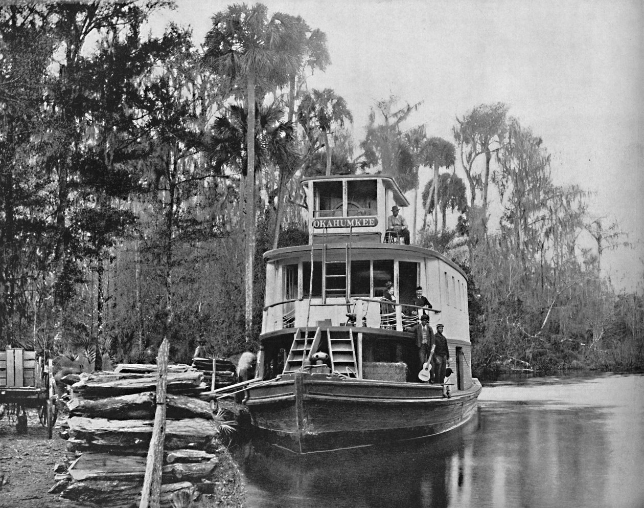 Am Ocklawaha River, Florida von Unbekannt