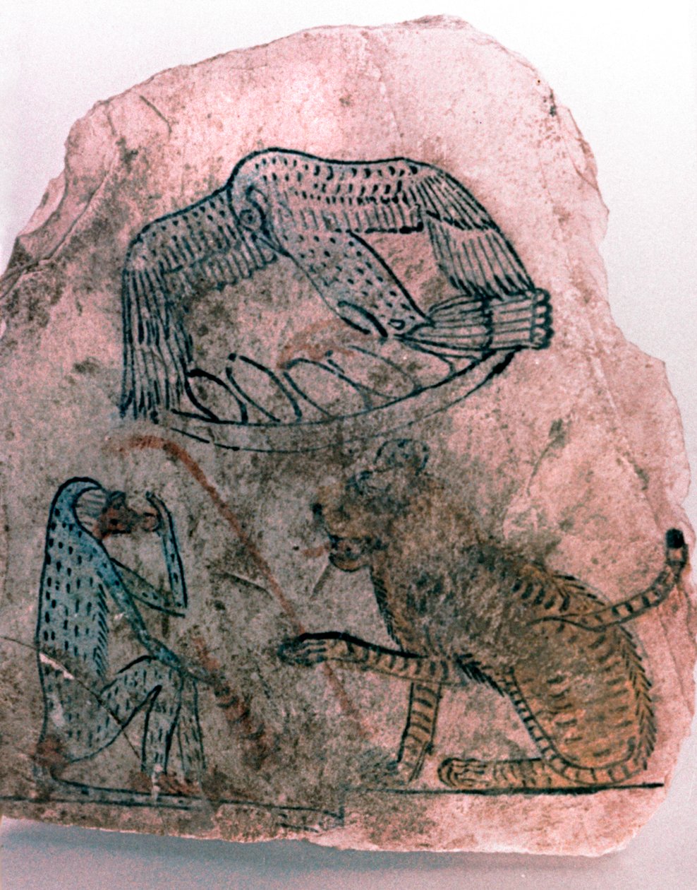 Ostrakon-Fragment, Gepard, Vogel und Affe, Ägypten von Unbekannt