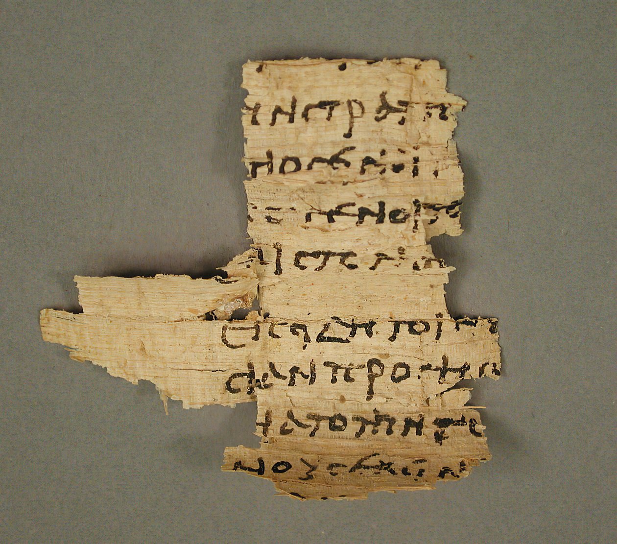 Papyrusfragment, koptisch, 4.-7. Jahrhundert von Unbekannt