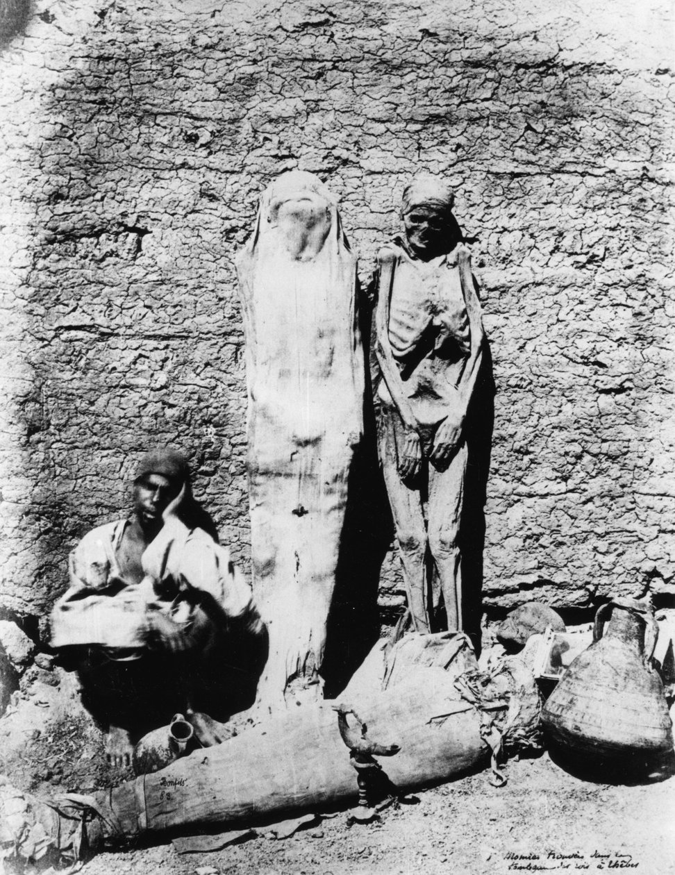 Fotografie von Mumien, 1860 von Unbekannt