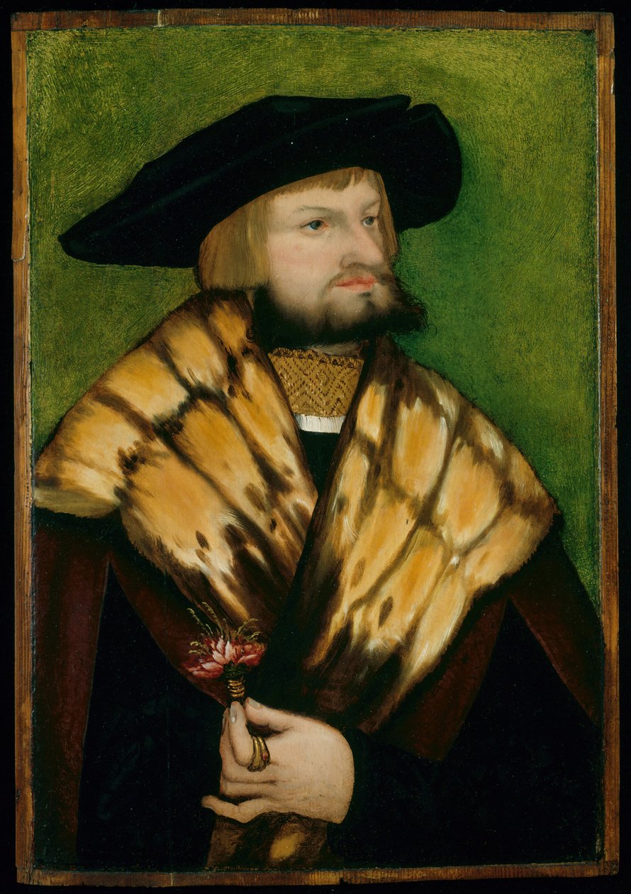 Porträt von Leonhard Fuchs, 1525 von Unbekannt