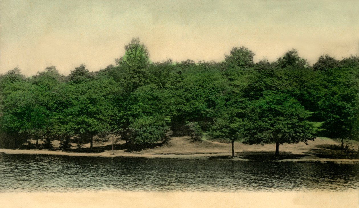 Queensmere, Wimbledon Common, London, 1903 von Unbekannt