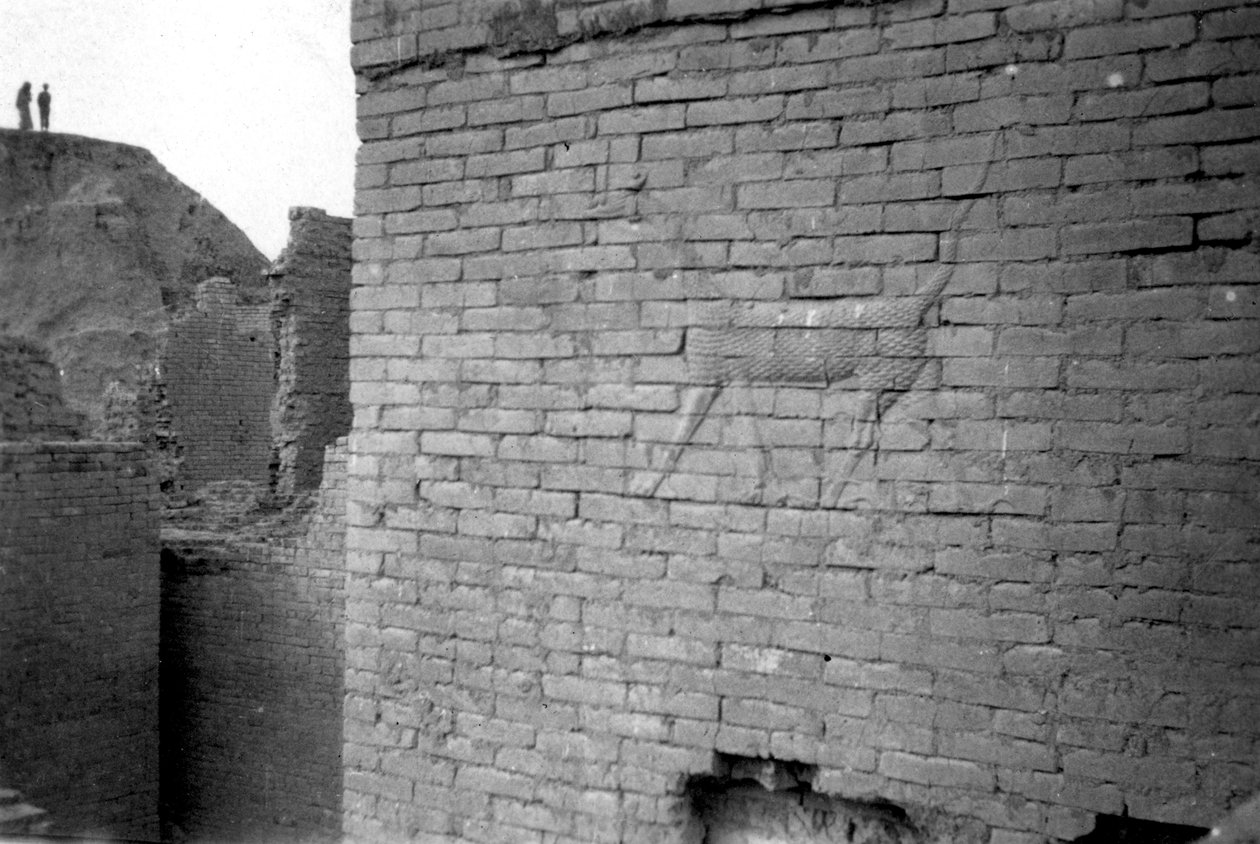 Relief am Ischtar-Tor, Babylon, 1917-1919 von Unbekannt