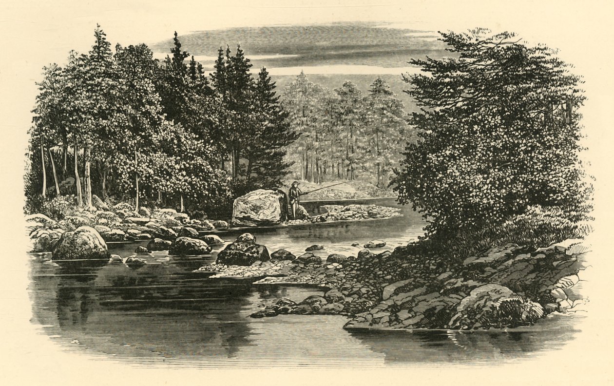 Flusslandschaft, Langdale, ca. 1890 von Unbekannt