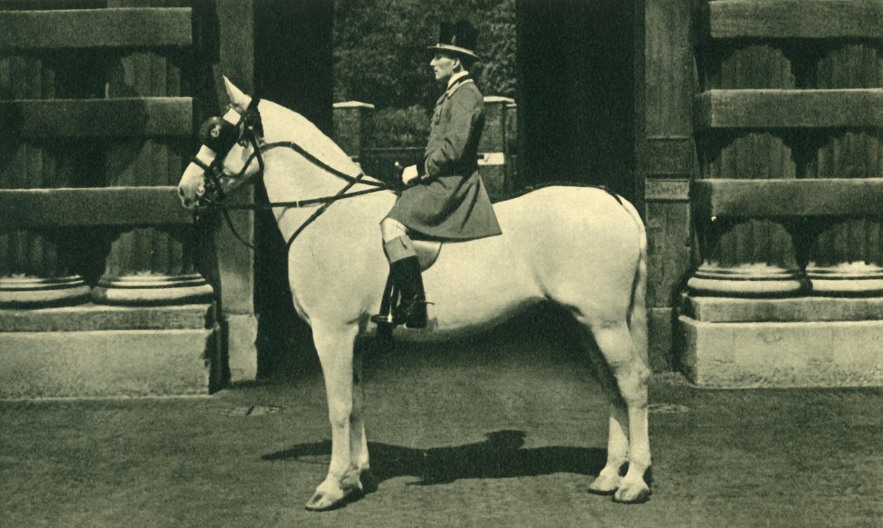 Königlicher Vorreiter in scharlachroter Livree, 1950er Jahre von Unbekannt