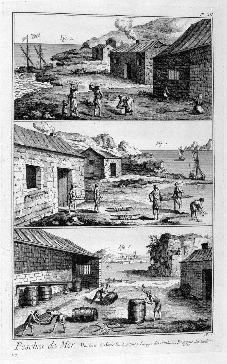 Salzen, Waschen, Verpacken von Sardinen, 1751-1777 von Unbekannt