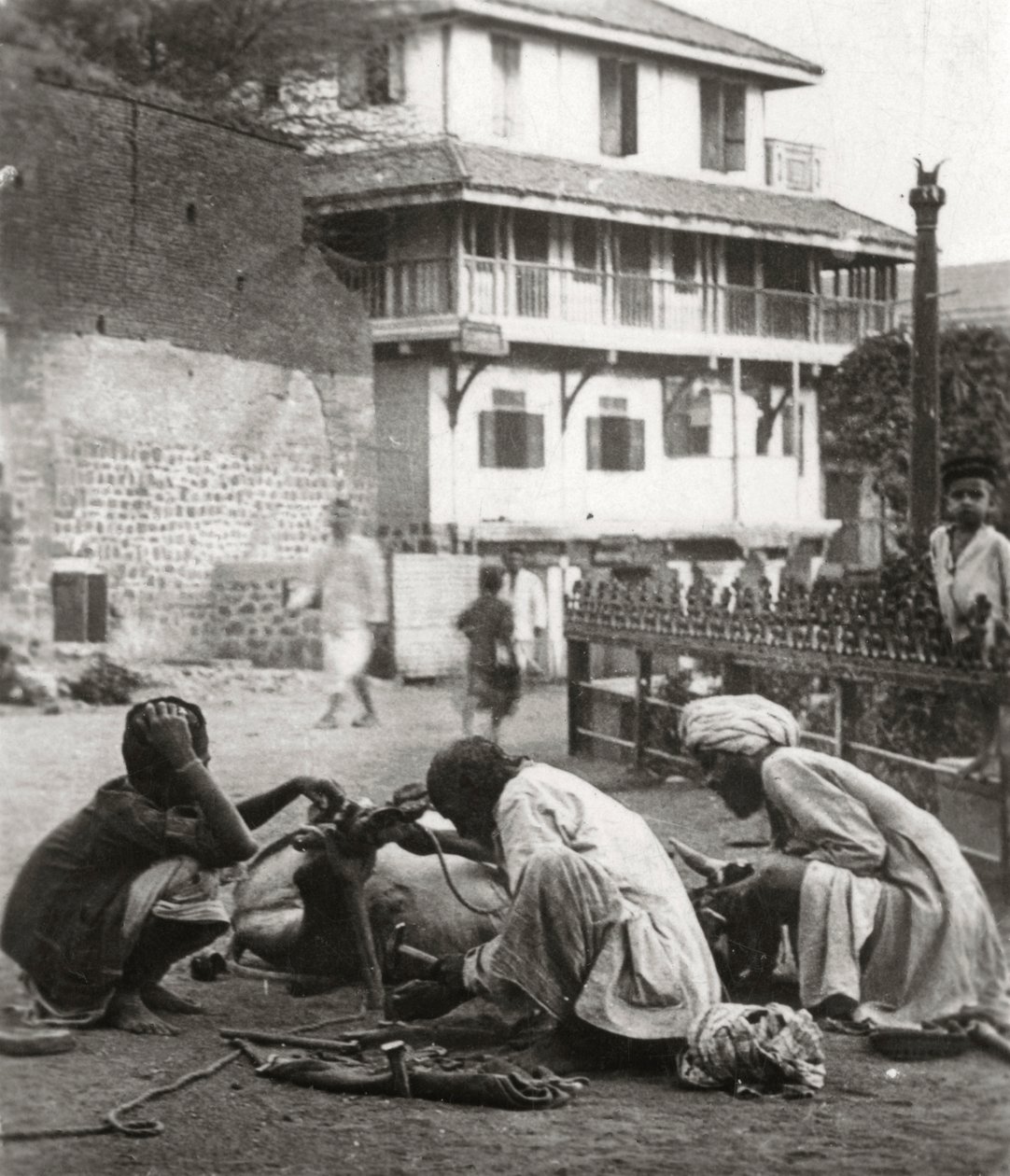 Beschlagen eines Ochsen, Indien, ca. 1927-1929 von Unbekannt