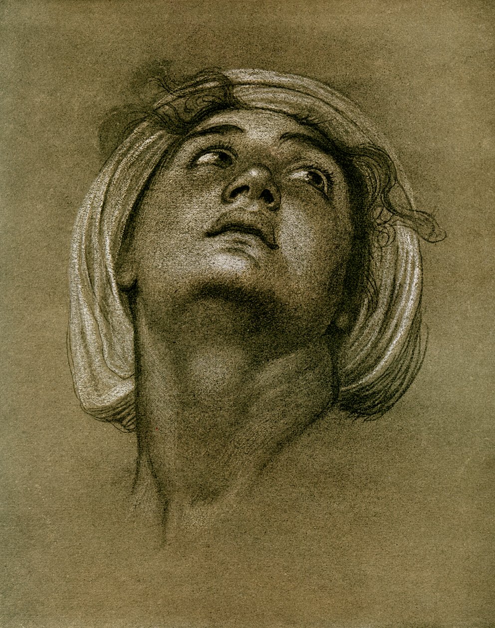 Studie eines Kopfes, 1901 von Unbekannt