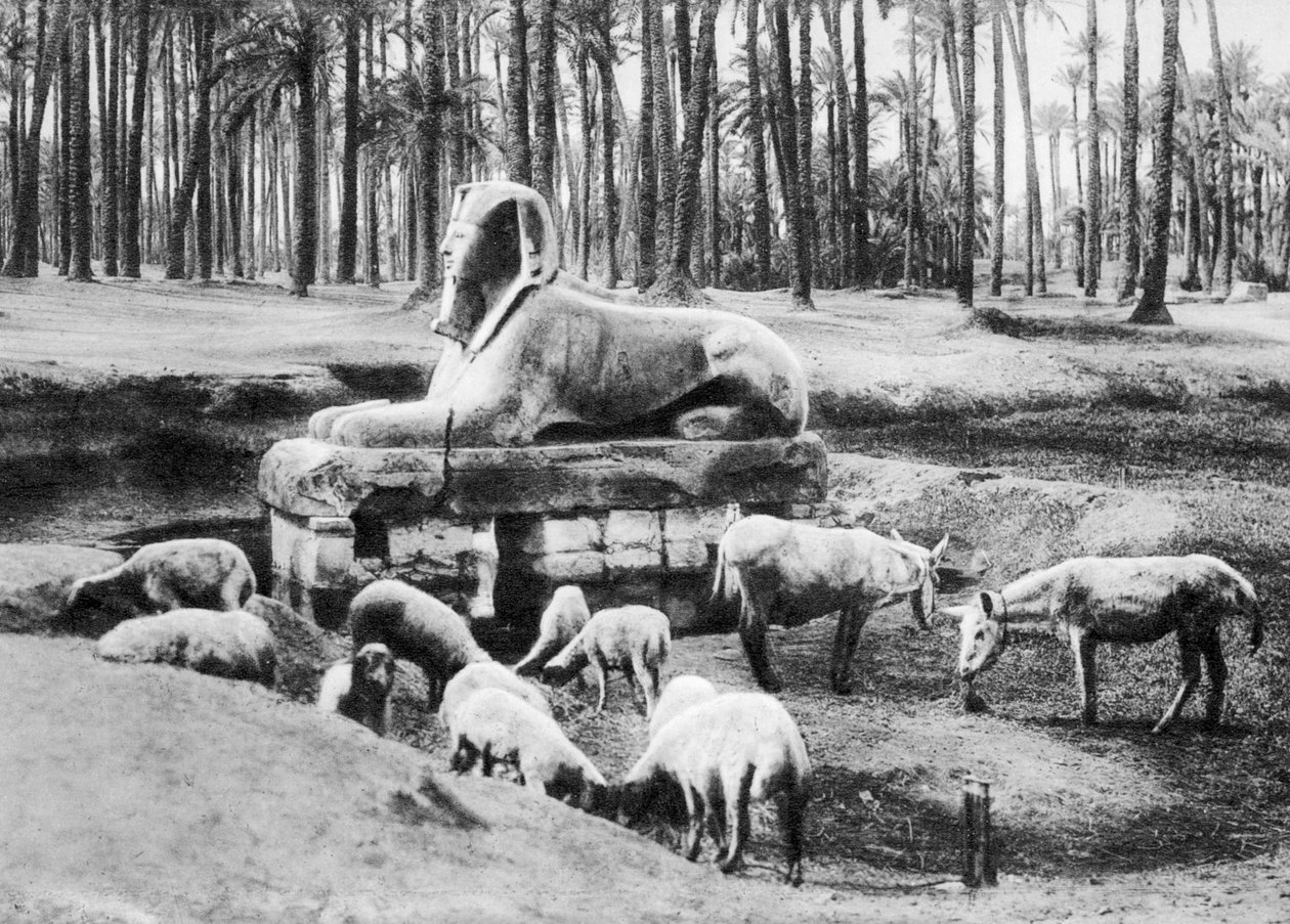 Die Alabaster-Sphinx, Kairo, Ägypten, ca. 1920er Jahre von Unbekannt